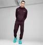 Толстовка мужская Puma Mapf1 Statement Violet 627303-08