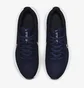 Кросівки чоловічі Nike Downshifter 11 Blue CW3411-402