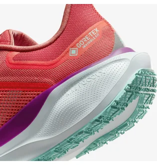 Кроссовки мужские Nike Air Zoom Pegasus 41 Gtx Red HM8872-600
