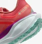Кроссовки мужские Nike Air Zoom Pegasus 41 Gtx Red HM8872-600