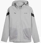 Куртка чоловіча Puma Mercedes Amg Petronas Motorsport Grey 623739-02