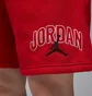 Шорты мужские Air Jordan Brk Lbr Gfx Red IB7910-687