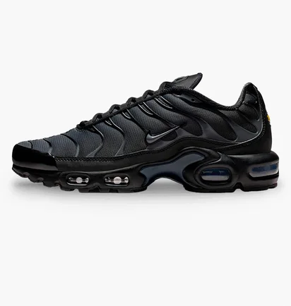 Кроссовки женские Nike Air Max Plus Black IM6019-010