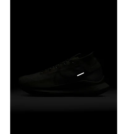Кроссовки женские Nike Pegasus Trail 4 Gore-Tex Waterproof Trail Running Shoes Beige DJ7929-101