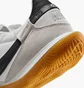 Футзалки мужские Nike Streetgato White HV5759-100