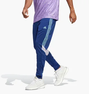 Штаны мужские Adidas Tiro Pants Blue Hs7489