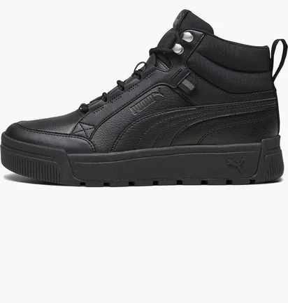 Кроссовки мужские Puma Tarrenz Sb Iii Black 392628-01