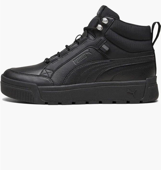 Кроссовки мужские Puma Tarrenz Sb Iii Black 392628-01