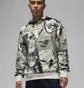 Худи мужское Air Jordan Brooklyn Fleece Grey FV7297-010