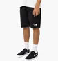 Шорти чоловічі The North Face Light Shorts Black NF0A3S4EJK3