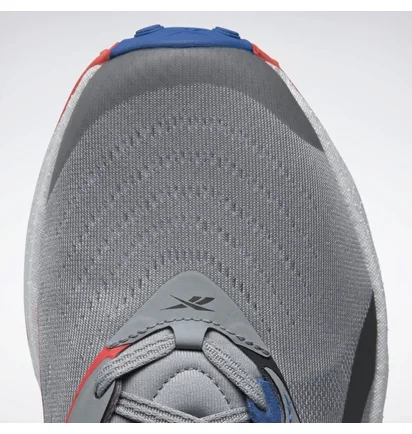Кросівки чоловічі Reebok Floatride Energy 5 Grey GY0073