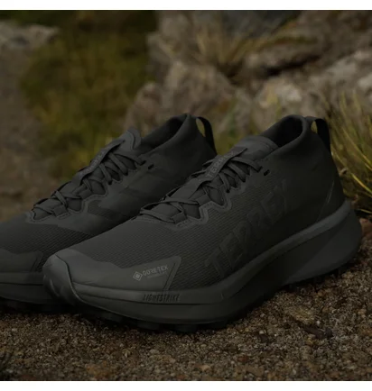 Кросівки чоловічі Adidas Terrex Agravic Gtx Black JR5240