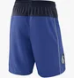 Шорты мужские Nike Nba Swingman Dallas Mavericks Icon Edition Blue AJ5599-480
