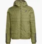 Пуховик мужской Adidas Hooded Jacket Terrex Itavic L Ho Jkt Olive GT1685
