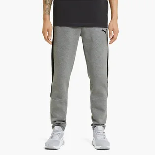 Штаны мужские Puma Evostripe Grey 585814-03