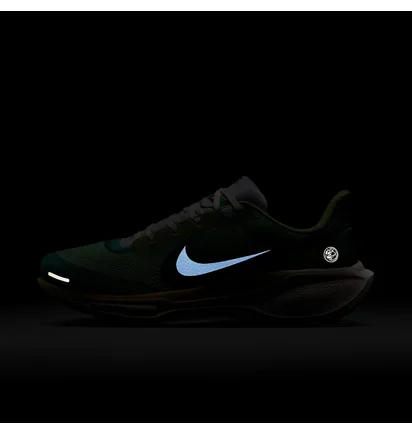 Кросівки чоловічі Nike Air Zoom Pegasus 41 Se International Running Pack Green IH3583-999