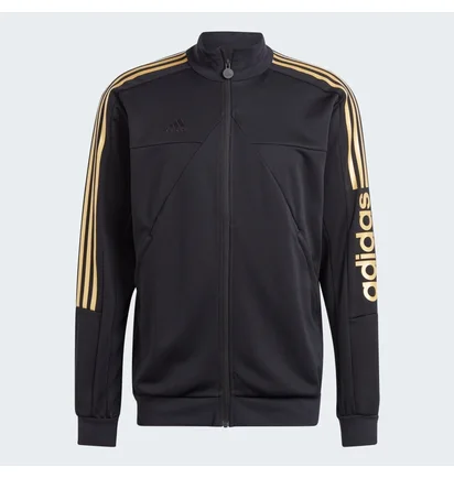 Олимпийка мужская Adidas Tiro Wordmark Track Jacket Black IM2920