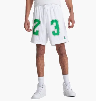 Шорти чоловічі Air Jordan Essentials Graphic Mesh Shorts White DX9671-100