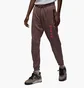 Штаны мужские Air Jordan Paris Saint-Germain Pants Brown Dm3094-291