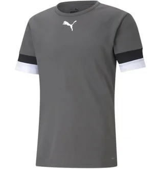 Футболка мужская Puma Teamrise Jersey Green 704932-13