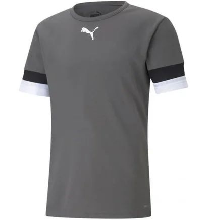 Футболка мужская Puma Teamrise Jersey Green 704932-13