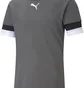 Футболка мужская Puma Teamrise Jersey Green 704932-13