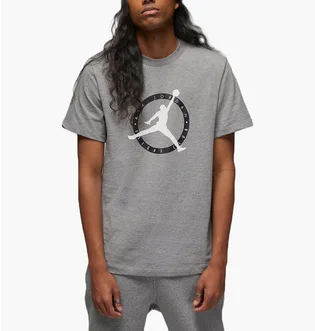 Футболка мужская Air Jordan Flight Mvp S T-Shirt Grey Dv8436-091