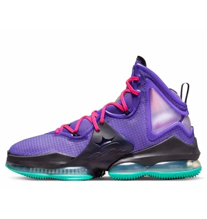 Кроссовки унисекс Nike Lebron Xix Dj Bron Violet Cz0203-500