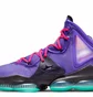 Кроссовки унисекс Nike Lebron Xix Dj Bron Violet Cz0203-500