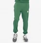 Штаны мужские New Balance Hoops Fundamentals Pant Green MP23580TFN