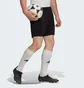 Шорты мужские Adidas Entrada 22 Shorts Black H57504
