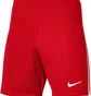 Шорты мужские Nike Shorts League Iii Knit Short Red DR0960-657