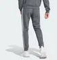 Штаны мужские Adidas Essentials Fleece Grey IJ8884
