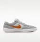 Кросівки чоловічі Nike Sb Force 58 Grey DV5477-007