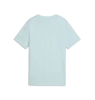 Футболка мужская Puma Essentials Turquoise 692031-48