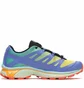 Кроссовки мужские Salomon Xt-4 Blue/Green L41709600