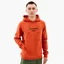 Худи мужское Helly Hansen Move Sweat Hoodie Orange 53701-308
