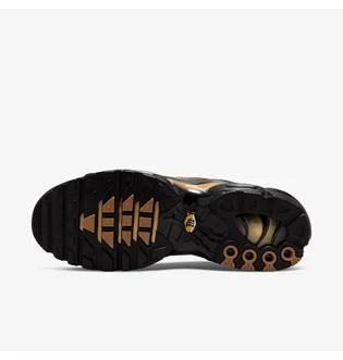 Кросівки чоловічі Nike Air Max Plus Og Brown/Black Dh4778-001