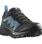 Кроссовки мужские Salomon Wander Gtx Black L47290800