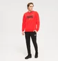 Штаны мужские Adidas M Felczy C Pant Black HL2226