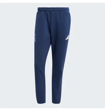 Штаны мужские Adidas Poland Future Icons Blue JF6683