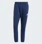 Штаны мужские Adidas Poland Future Icons Blue JF6683