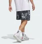 Шорты мужские Adidas Crazy Lite Aop Multi JN2460