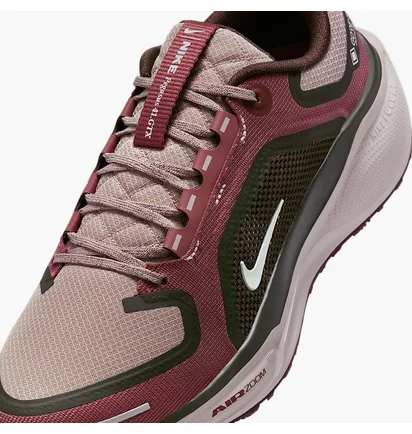 Кросівки жіночі Nike Pegasus 41 Gore Tex Bordo FQ1357-200