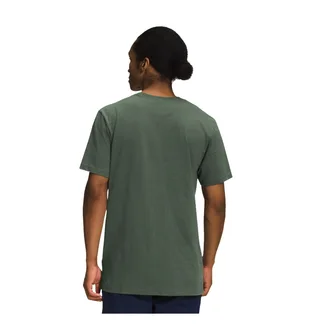 Футболка мужская The North Face T-Shirt Khaki Green NF0A812HBQW1