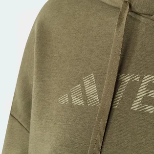 Худи мужское Adidas Terrex Logo Olive IW3802