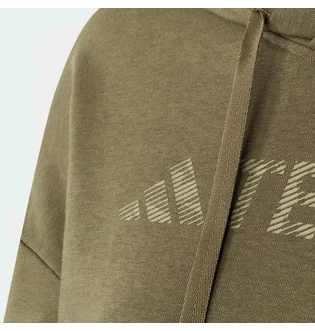 Худі чоловіче Adidas Terrex Logo Olive IW3802