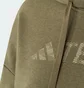 Худи мужское Adidas Terrex Logo Olive IW3802