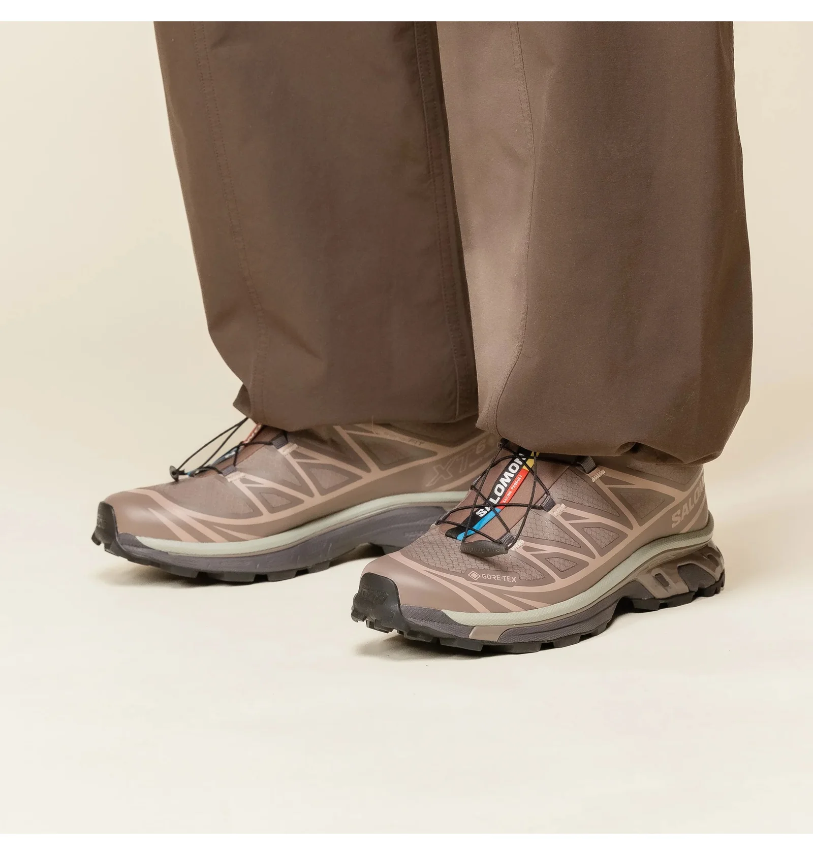 ᐉ Кроссовки мужские Salomon Xt-6 Gtx Brown L47732600 - купить в