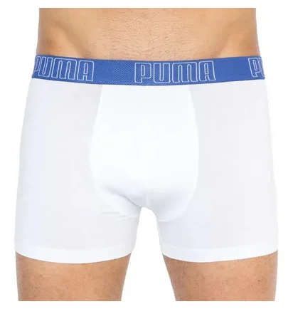 Труси чоловічі Puma Yd Bold Stripe Boxer Multi (2 шт) 501001001-010
